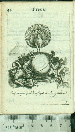IX. Frustra : quis stabilem figat in orbe gradum?