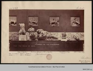 Fragmente des Ostgiebels : Dione, Aphrodite, Leto