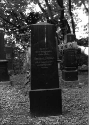 Grabstein 868 [Hahn S. 209 Grab-Nr. 1215]