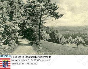 Lützelbach im Odenwald, Weg zum 'Wilden Frauen Haus'