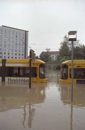 Dresden-Altstadt, St. Petersburger Straße. Niederflurwagen an der Haltestelle Walpurgisstraße