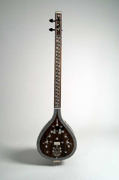 Bowl-necked lute