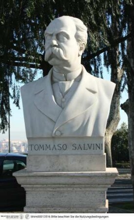 Büste des Tommaso Salvini