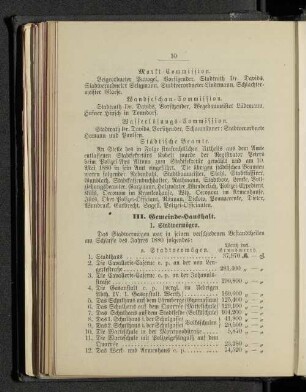 III. Gemeinde-Haushalt.