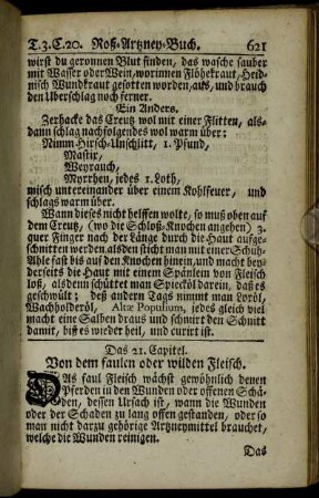 Das 21. Capitel. Von dem faulen oder wilden Fleisch. - Das 30. Capitel. Von dem Geleich- und Gliederwehe.