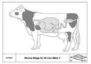 Welche Silage für 35 Liter Milch?