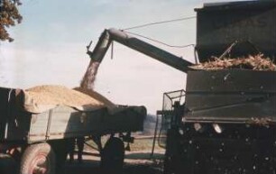 Fotografie: Erntetechnik, Mähdrusch, Korntank, Be- und Entladen, Transportgerät
