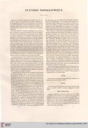 29-60 Anatomie topographique