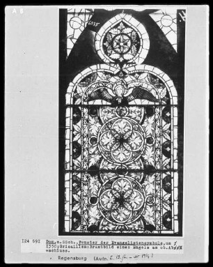 Fenster n VII, Evangelistenfenster, Felder: Evangelistensymbole und Brustbild eines Engels