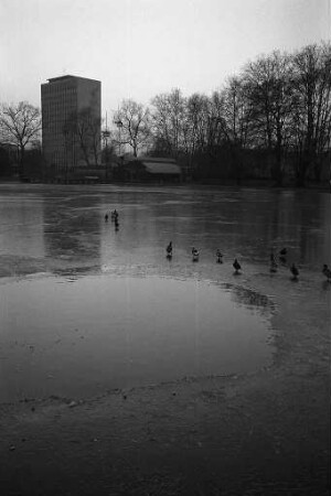 Stadtgartensee im Winter.