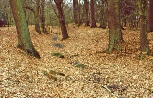 Ahrensfelde: Burg Arnesvelde: äußerster Burggraben