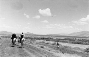 In der Ebene von Cobbo : Blick in eine ebene Savannenlandschaft