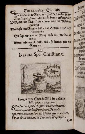 250-269, Das XXI. Sinnbild - Das XXXI. Sinnbild