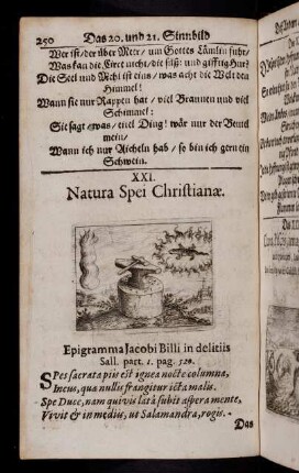 250-269, Das XXI. Sinnbild - Das XXXI. Sinnbild