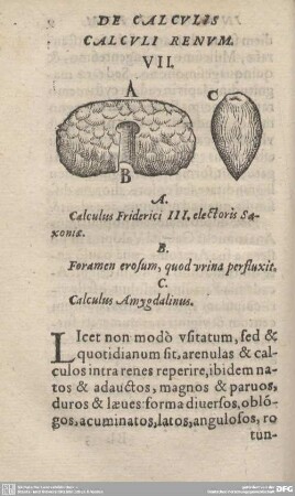 DE CALCULIS CALCULI RENUM. VII.