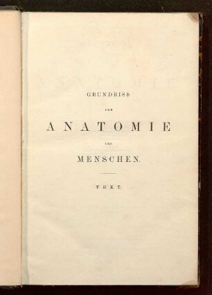 Grundriss der Anatomie des Menschen