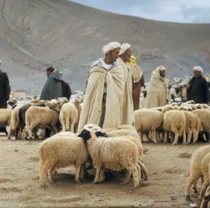 Heiratsmarkt der Berber : Viehhändler auf dem Heiratsmarkt der Berber im Hohen Atlas bei Ksar Agdim.