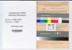Entnazifizierung Carl Schmidt, geb. 09.02.1913 (Bankinspektor)