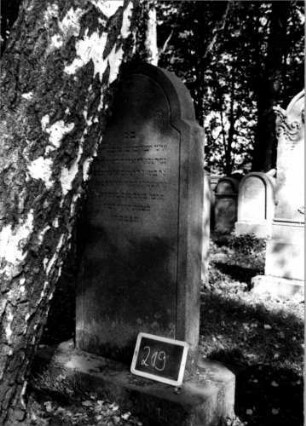 Grabstein 219 (Index: 100112171) Material: Sandstein Zustand: leicht verwittert Maße HxBxT: 136x63x13 cm Beschreibung: Stele, Sockel, schräg eingezogener Rundbogenabschluß Symbolik: Blüten: Grabstein 219
