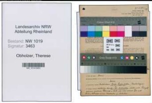 Entnazifizierung Therese Obholzer , geb. 21.10.1899 ()