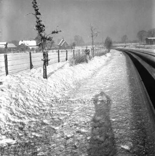 Kreisstraße zwischen Ahrensburg und Hammoor: links Baumreihe: dahinter Zaun: hinten Häuser: Winter