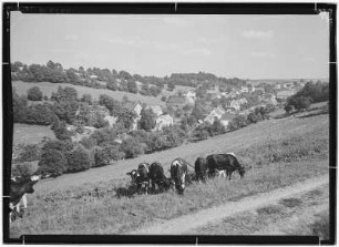 Dittersdorf