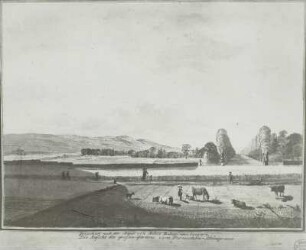 Ansicht des großen Gartens vom Pirnaischen Schlage aus : Ansicht des großen Gartens vom Pirnaischen Schlage aus. Zeichnung, laviert. um 1790