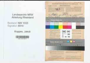 Entnazifizierung Jakob Koppes , geb. 07.02.1918 (Landwirt)