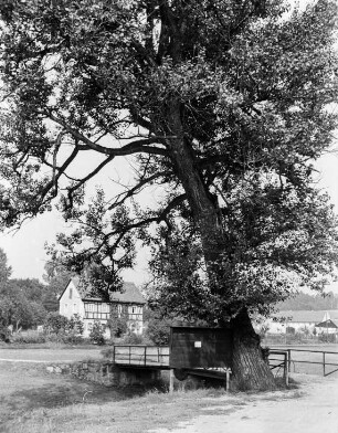 Bernstadt, Wohnhäuser