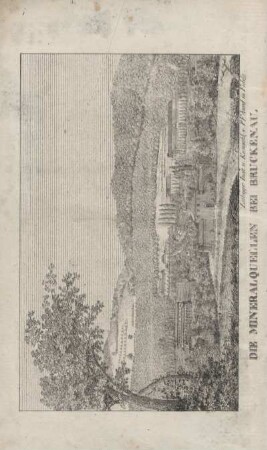 Die Mineralquellen bei Brückenau