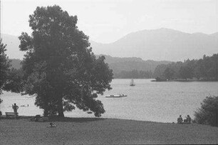Seehausen: Strandbad, mit großem Baum am Ufer