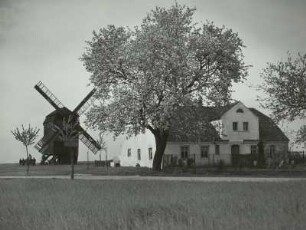 Pochra. Windmühle und Mühlengehöft
