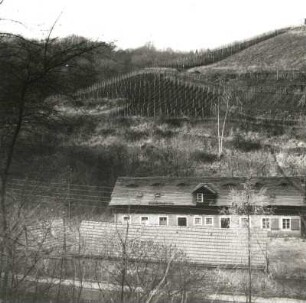 Cossebaude, Talstraße 62. Weingut (1786/1800). Ansicht vom Gegenhang gegen Weinberg