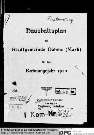 Haushaltsplan der Stadtgemeinde Dahme für das Rechnungsjahr 1933