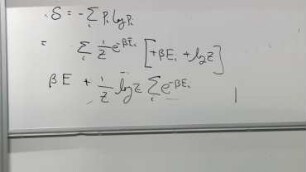 Statistical Mechanics Lecture 4