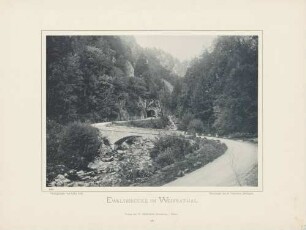 "Ewaldbrücke im Wehrathal" bei Todtmoos im Südschwarzwald
