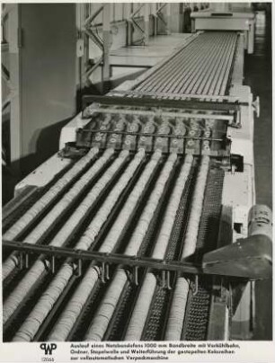 Auslauf eines Netzbandofens 1000 mm Bandbreite mit Vorkühlbahn, Ordner, Stapelwelle und Weiterführung der Werner-und-Pfleiderer-Maschinenfabriken und Ofenbau