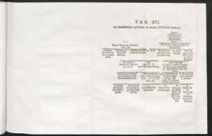 Tab. XVI. De Marchionibus Aquilonal, Et Matre Lotharii Imperat