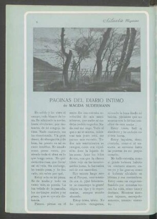 Páginas del diario íntimo