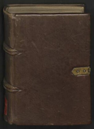 Theologische Sammelhandschrift, bair. : Ms. germ. oct. 517