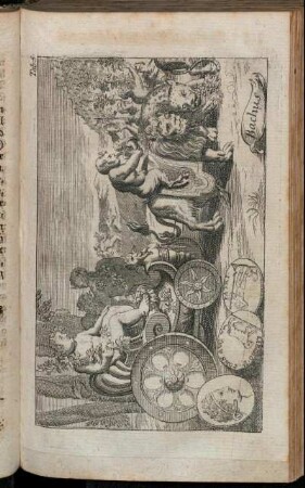 Tab. 5. Bachus