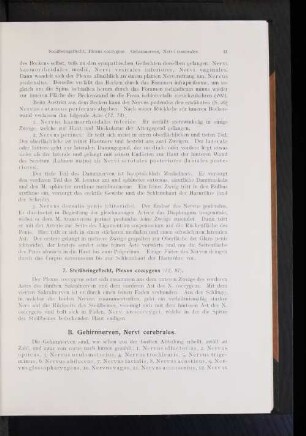 1. Nervus haemorrhoidalis inferior.