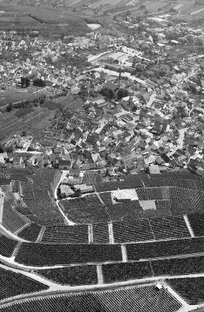 Ihringen: Weinberge und Ortsansichten, vom Berg in Ihringen, mit Kirche