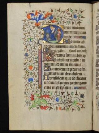 Initiale D, historisiert (Flucht nach Ägypten), mit Fadenrankenbordüre