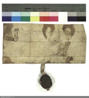 Bernhard Hermann von Nordeck zur Rabenau, Propst von Blankenau, verleiht eine Wiese in Eichenzell