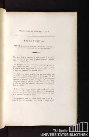 Traité des arbres fruitiers. Épine-rose. Duh. Pyrus maliformis, fructu medio, maliformi, basi apiceque depresso, partim è viridi flavescente, partim fusco vel obscurè rubro, aestivo.