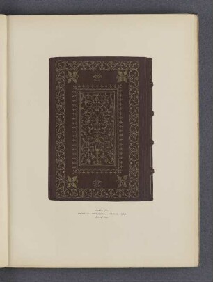 Plate XVI.