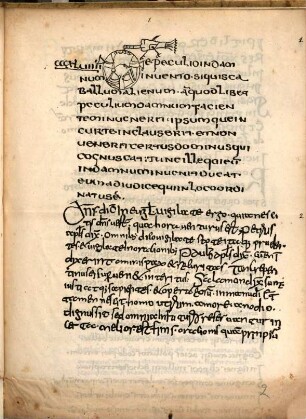 Specimen codicum manuscriptorum Turicensium