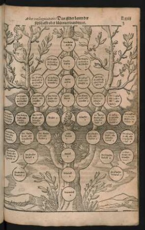 Arbor consanguinitatis ...