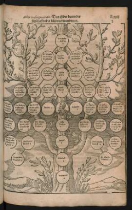 Arbor consanguinitatis ...